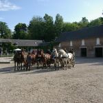 le-thurel-hebergement-baie-de-somme-hebergement-gite-chambre-hote-diaporama02